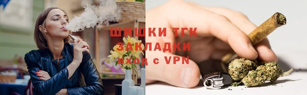 мдпв Дмитровск