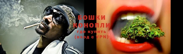 мдпв Дмитровск