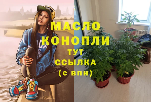 мдпв Дмитровск