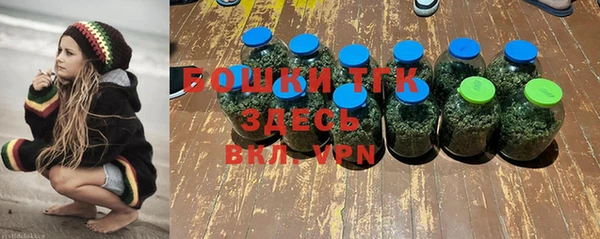 мдпв Дмитровск