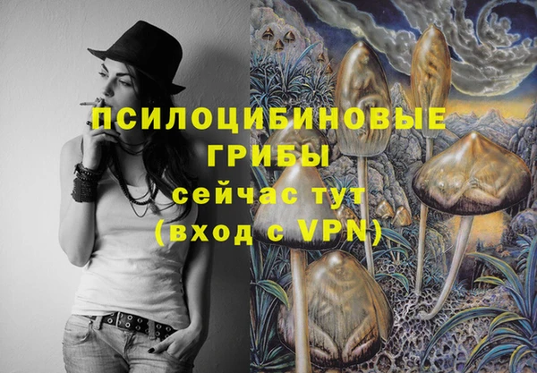 мдпв Дмитровск