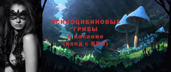 мяу мяу кристалл Дмитров