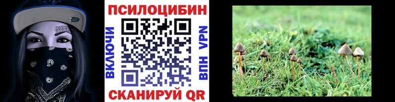 Галлюциногенные грибы мухоморы  Купить закладки  Каменногорск 